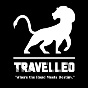 cropped travelleo favicon.png